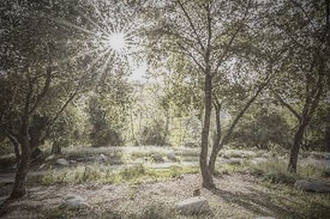 Walking trails and outdoor grounds at Elijah's House rehab estate in Pasadena, CA